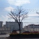 세명주유소 이미지