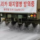 파주양돈단지(1) 이미지