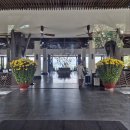 킹당구클럽 | 아미아나 리조트 나트랑 프리미어 디럭스 가든뷰 킹 빌라 내돈내산 리뷰 (feat. 수영장, 셔틀, 스파)