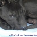 잠자리이불 - 평택시 서정역로47번길 20 | 잠자리이불