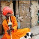 피리부는아저씨 이미지