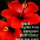 의평경로당 이미지