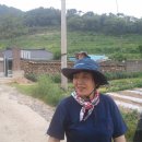 선태농장 이미지
