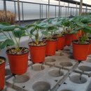 논산2길 6 이미지