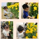 부영서해마트 이미지