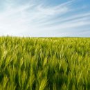 양남농장 이미지