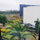 알루하우스A 이미지