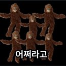 까망과 따뜻이의 30th story