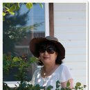 오아시스펜션 이미지