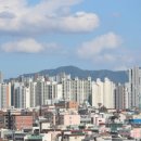 대구집