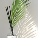 만세셀프 이미지