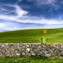 좋은세상 이미지