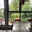 인도네시아정원