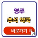 영주약국 | 영주 추석 문여는 약국 검색 휴일지킴이 약국 찾기 2025 확인