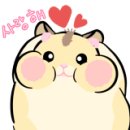 뚱찡