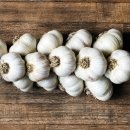 와이비 메디컬 이미지