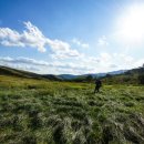 진고개목장 이미지