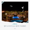한국지엠신용암바로서비스 | 신혼여행 발리 리조트 추천 , 누사두아 &#39;물리아 빌라스 풀빌라 가든뷰&#39; 후기 / 객실 리뷰