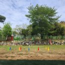 드린겐 애견테마파크 이미지