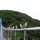 해오름관광펜션 이미지