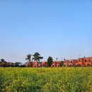 남원읍-71 이미지