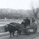 영일 당구장 이미지