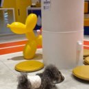 피터펫 미사점 이미지