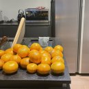 신정로2L-1 | 220623-220629 SNS끊기 대모험