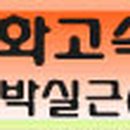 금화관광(주)