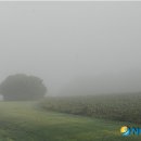 심안경원 이미지