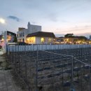 스테이 다로 이미지