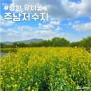 창원 주남돌다리 | 창원 유채꽃 주남저수지 포토존 산책 드라이브코스 추천