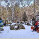 하얀허브 이미지