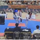 경희유아태권도 이미지