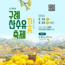 구례산수유