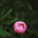 낙천경로당 이미지