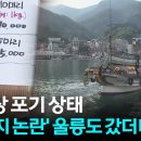 '오징어 17만 원' 바가지 논란에...울릉도 어민들, 억울함 호소 이미지