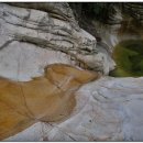 대승약국 이미지