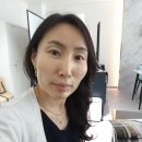 인셀덤미라클대리점 - 창원시 성산구 | 인셀덤미라클대리점