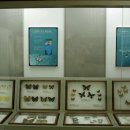 봉우공원 이미지