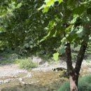 가평뜰 | 가평 용추계곡 맛집 &#39;뜰&#39; – 계곡 옆에서 즐기는 여름 힐링 한 끼