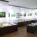 여주곤충박물관 이미지