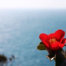 녹산등대가는길 이미지