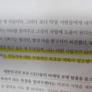 노른자마케팅