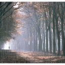 재미있는 중국어 이미지