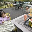 모아팜4 이미지