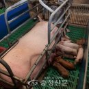 호은농장 이미지