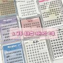 (주)세하라인 | 노글루 속눈썹 비교리뷰 (올리오,코링코,깜빡,수아도르, 저스트썸띵)