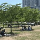 두드림정신건강의학과의원 이미지