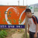 필승농장 이미지